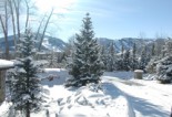 Aspen Red Mountain Estate Snow